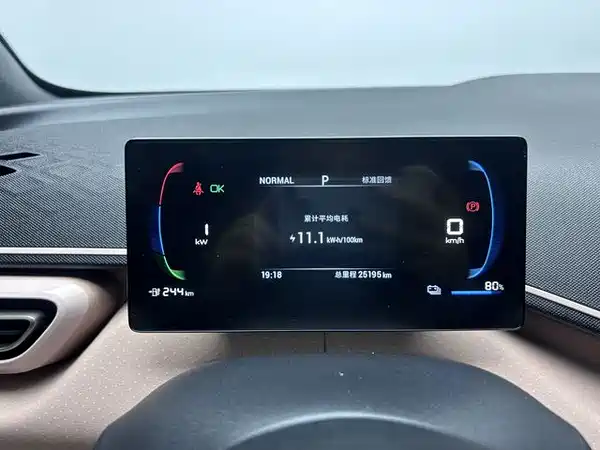 BYD Seagull 2024