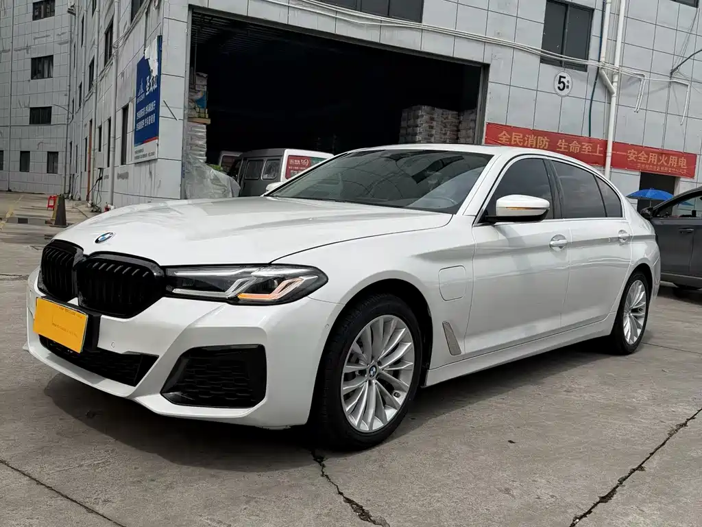 BMW 5 Series New Energy 2020 — фото 1