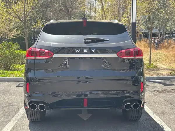 Wey VV6 2020
