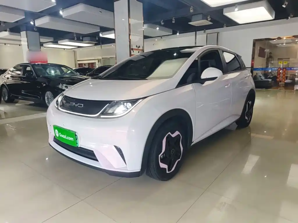 BYD Dolphin 2022
