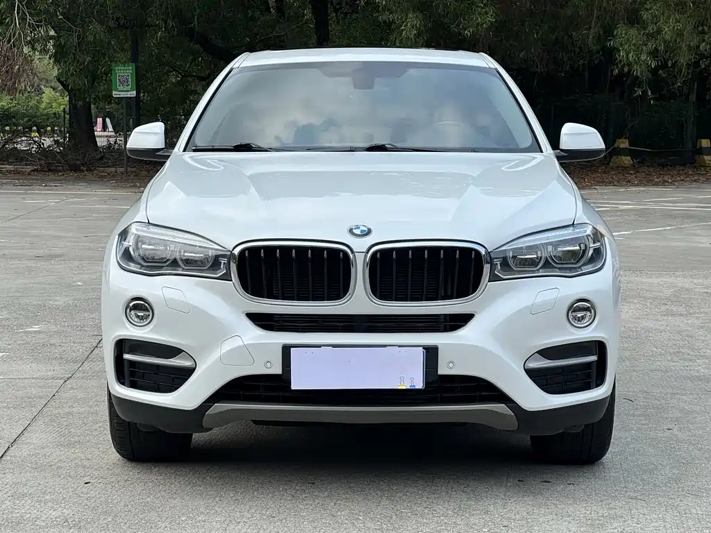 BMW X6 2017 — фото 2