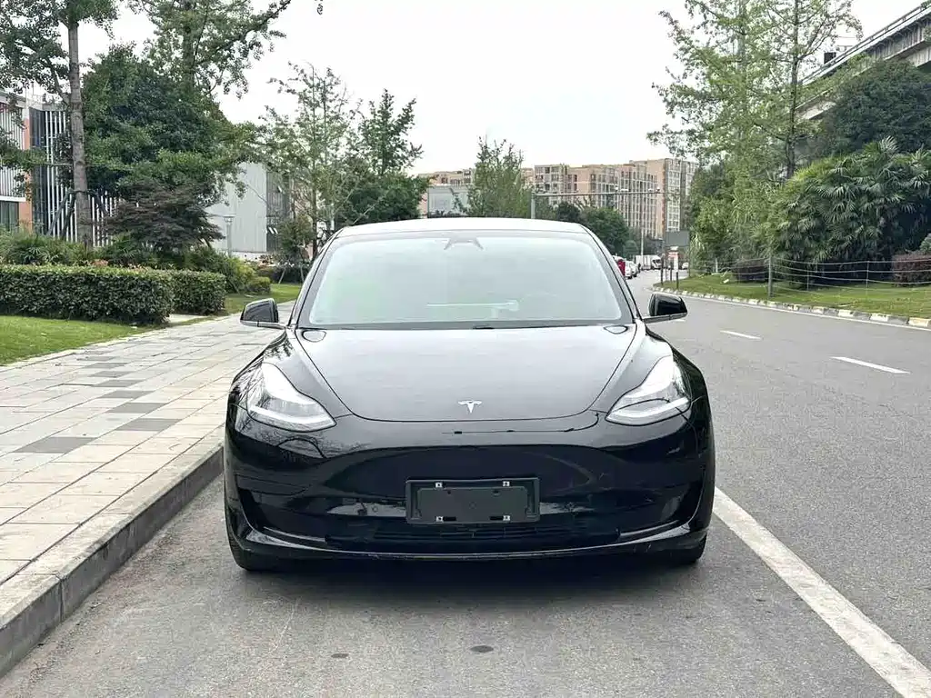 Tesla Model 3 2020 — фото 2