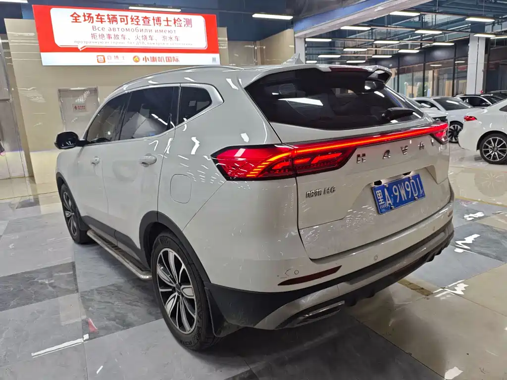 Haval H6 2023 — фото 10
