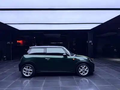 MINI MINI 2011