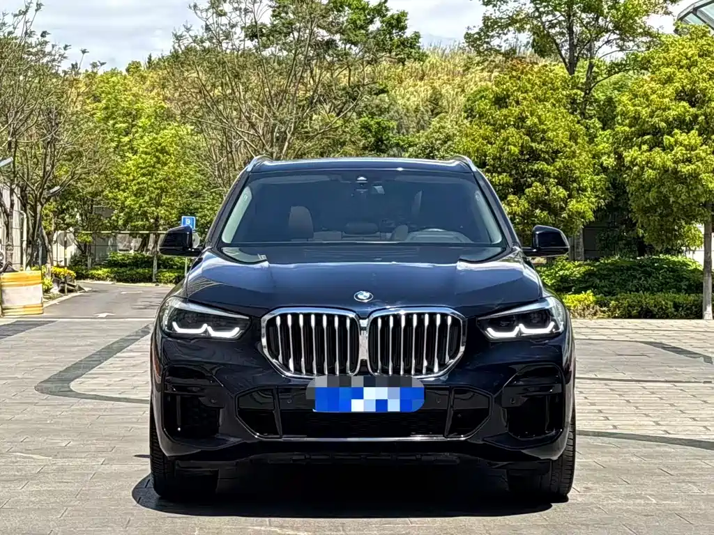 BMW X5 2022 — фото 2