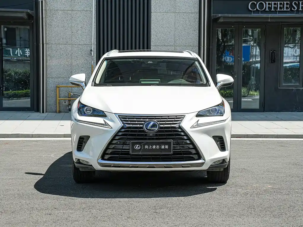 Lexus NX 2019
