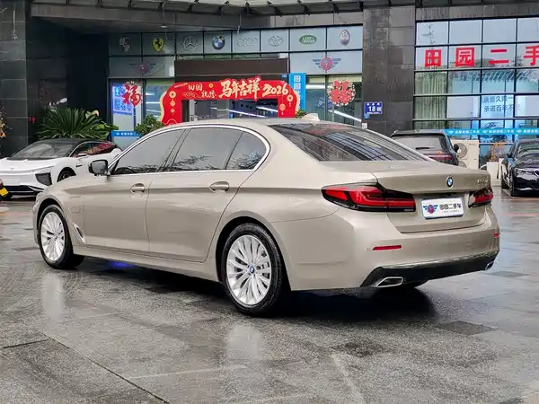 BMW 5 Series New Energy 2021