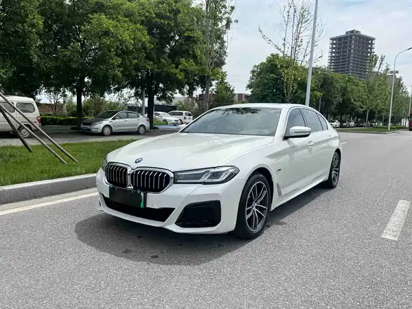 BMW 5 Series New Energy 2022