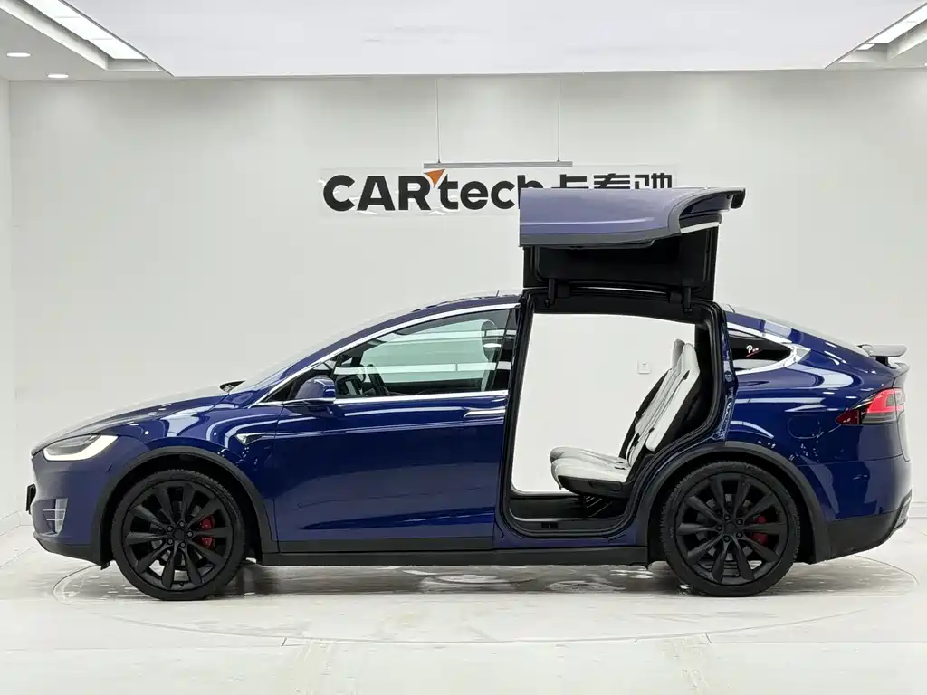Tesla Model X 2020 — фото 9