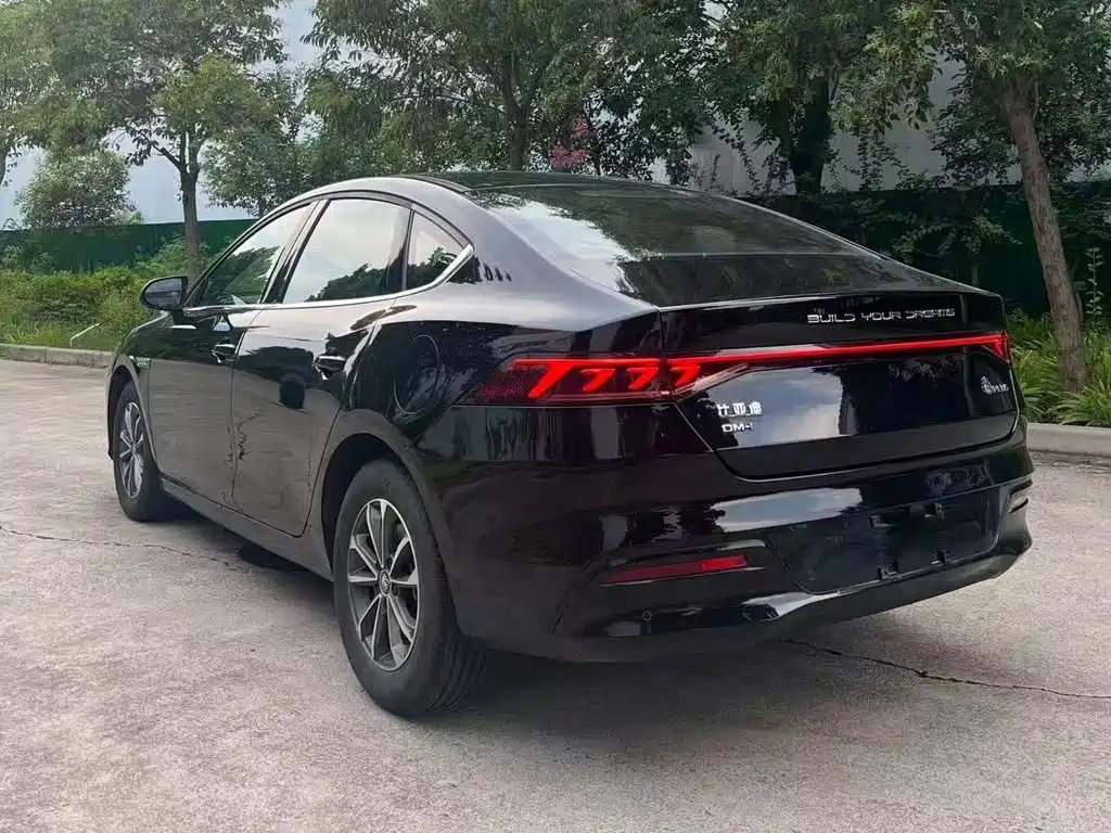 BYD Qin PLUS 2024 — фото 15