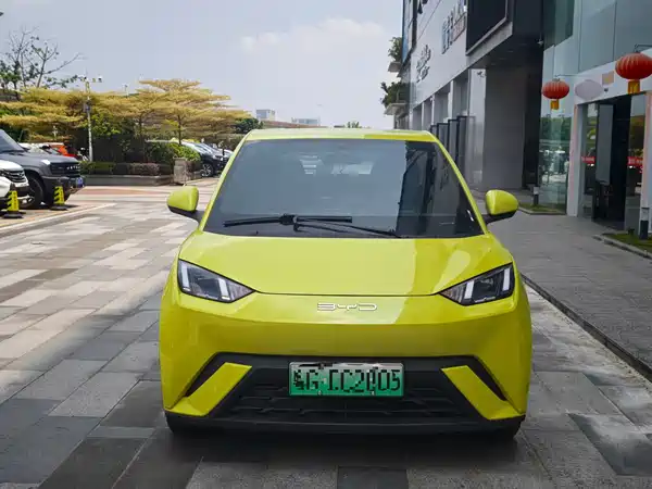 BYD Seagull 2024