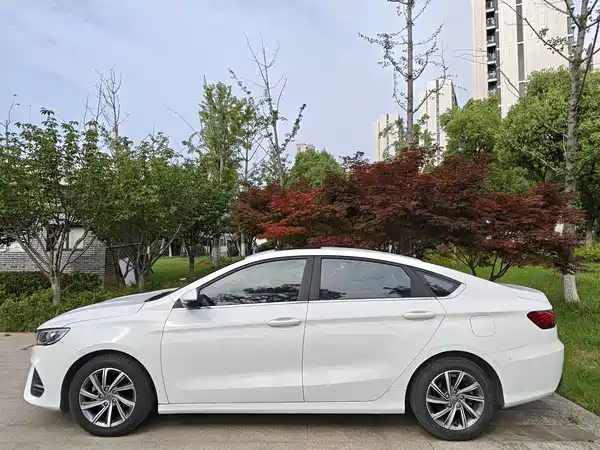 Geely Binrui 2019