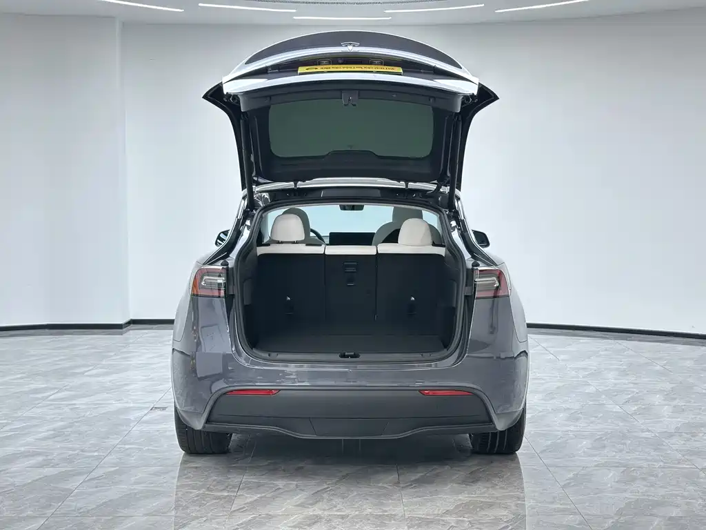 Tesla Model Y 2021 — фото 10