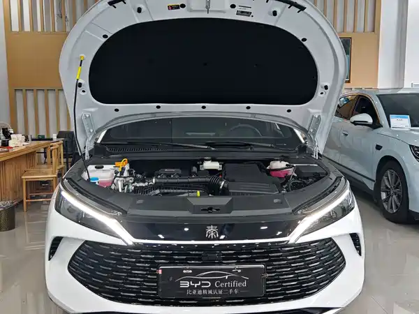 BYD Qin L 2024
