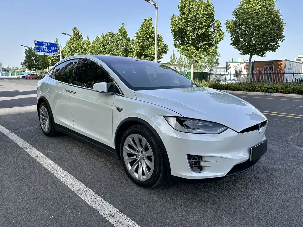 Tesla Model X 2019 — фото 2