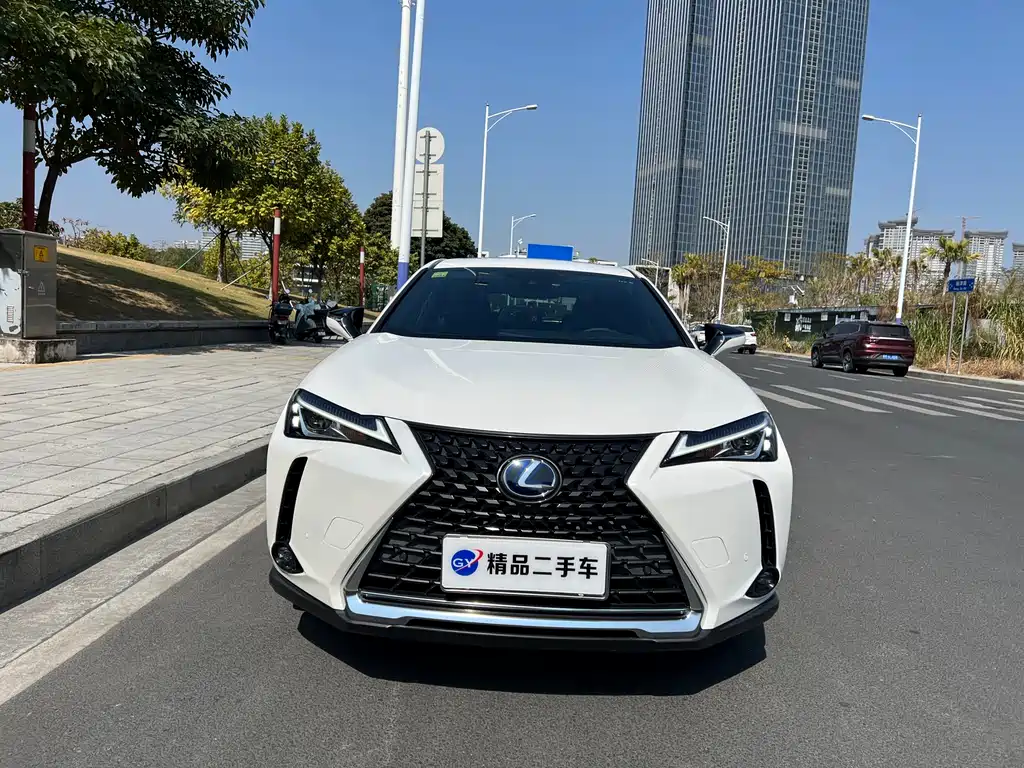 Lexus UX 2021 — фото 20