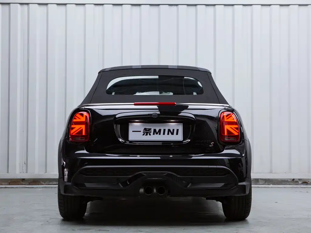MINI MINI 2024