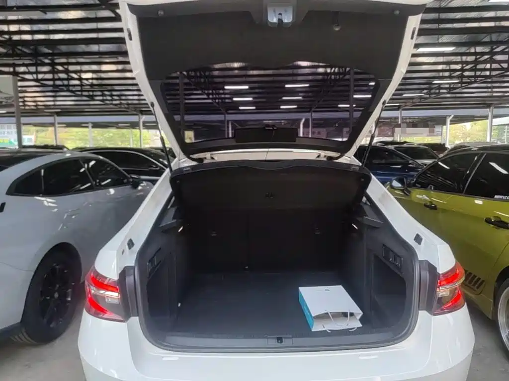 Skoda Speedy 2021 — фото 19