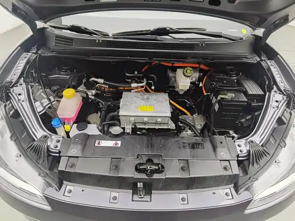 Neta V 2021