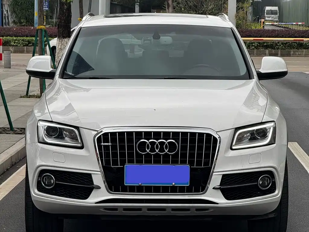 Audi Q5 2014 — фото 2