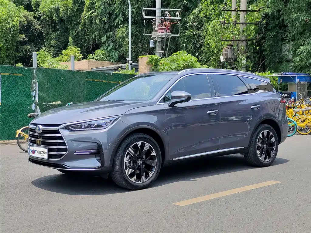 BYD Tang New Energy 2023 — фото 1