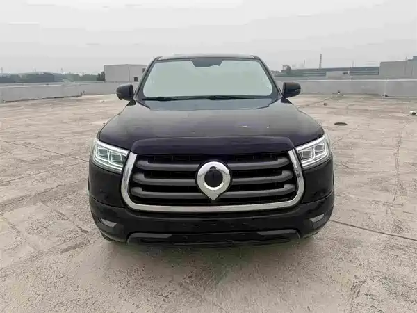 Great Wall Poer 2022