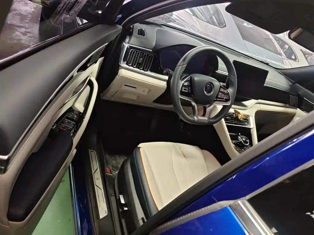 BYD PLUS New Energy 2022 — фото 16