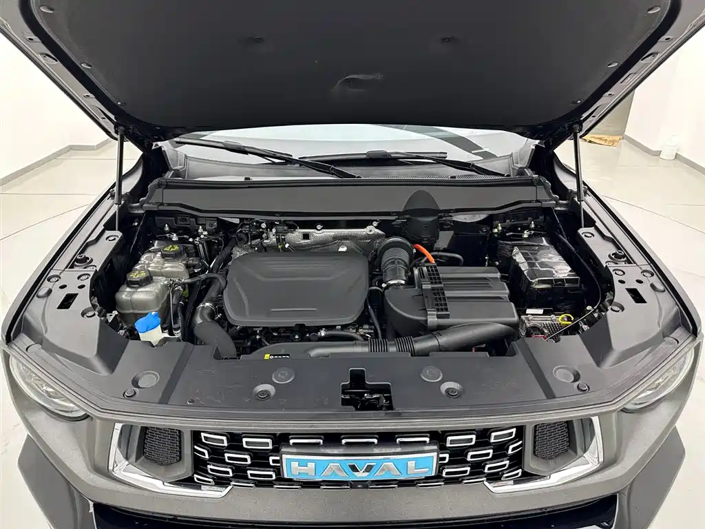 Haval Dargo PLUS EV 2023 — фото 27