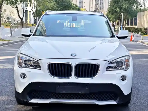 BMW X1 2010
