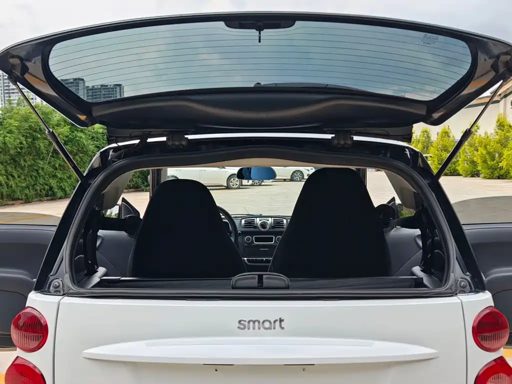 smart fortwo 2013 — фото 20
