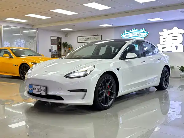 Tesla Model 3 2021