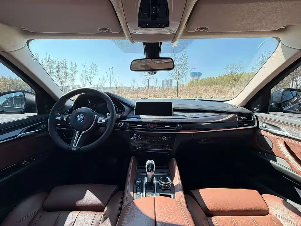 BMW X6 2015