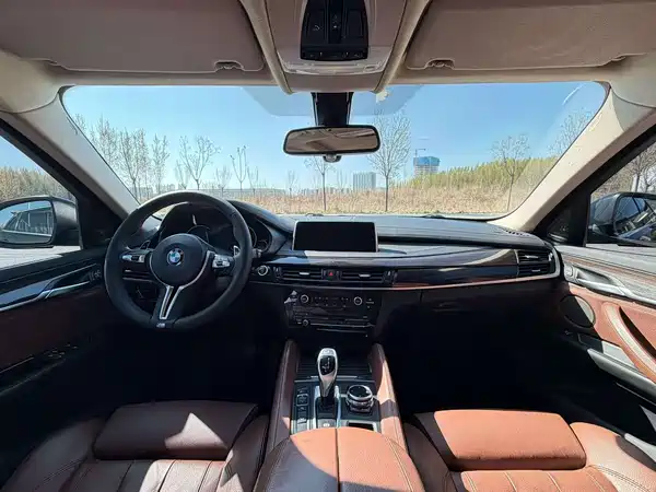 BMW X6 2015