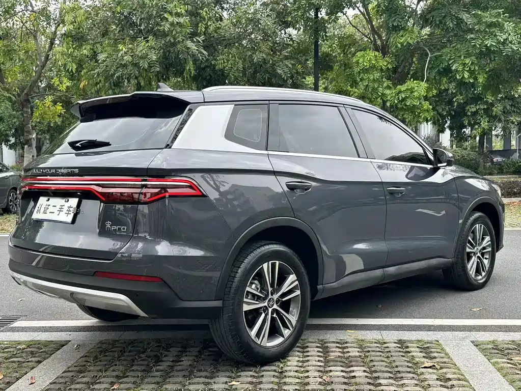 BYD Pro 2020 — фото 5