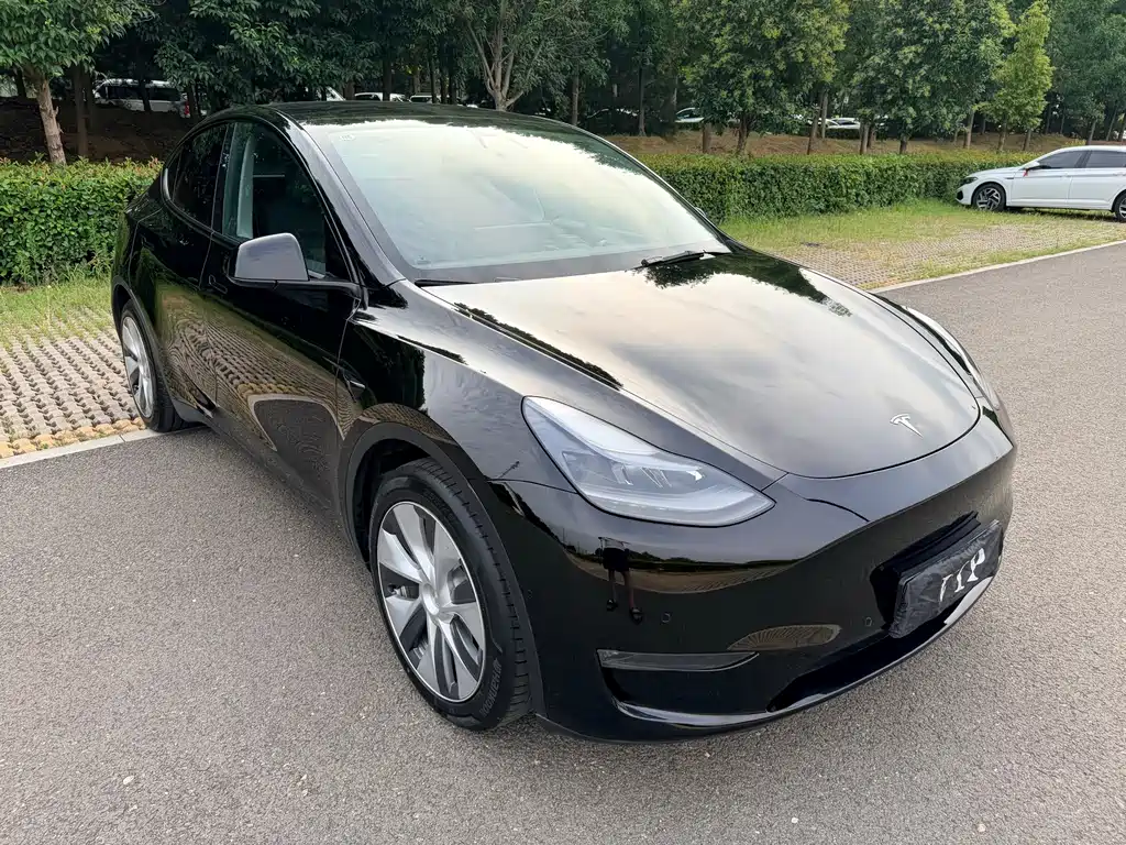 Tesla Model Y 2021 — фото 3