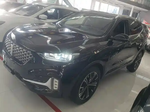 Wey VV6 2020