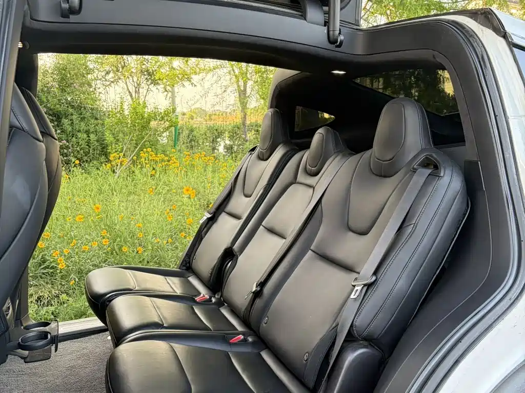 Tesla Model X 2020 — фото 10