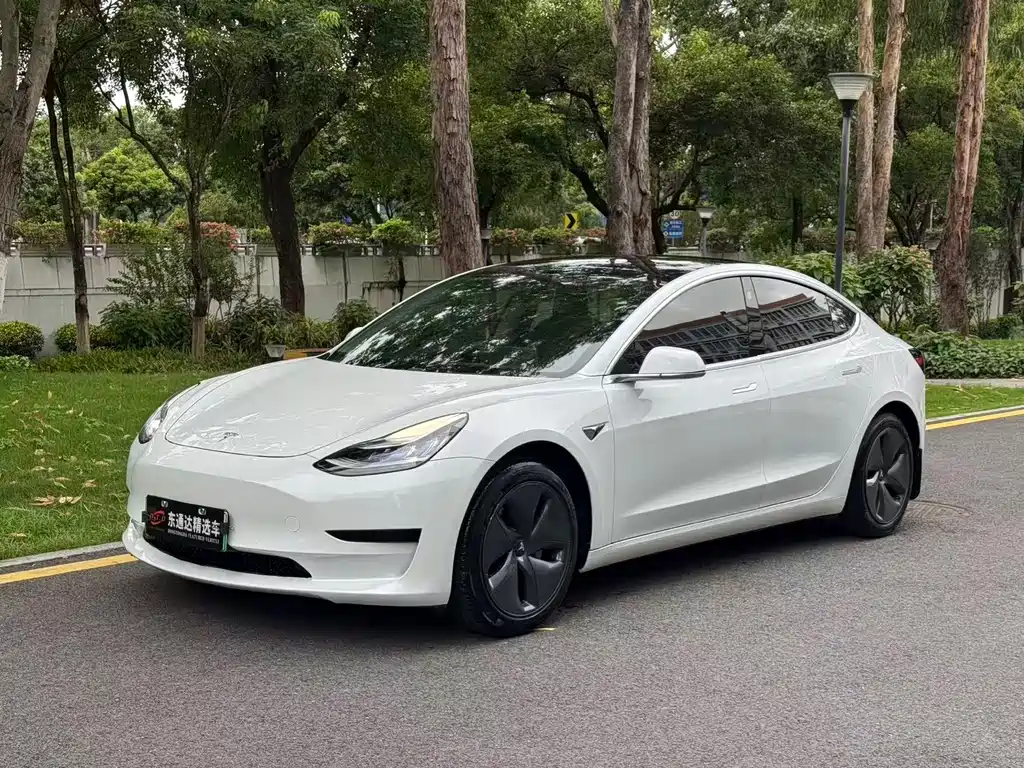 Tesla Model 3 2020 — фото 1