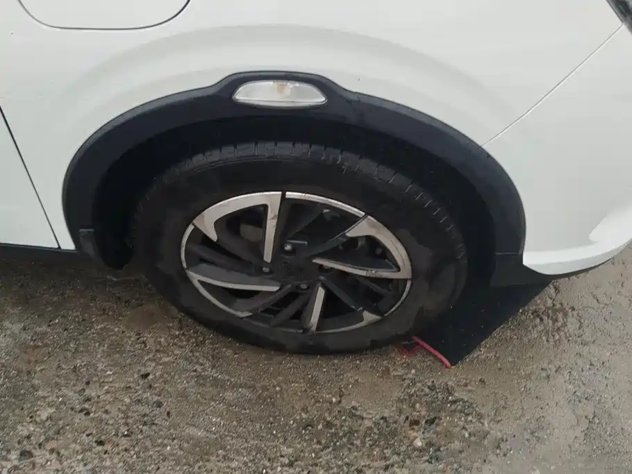 Neta V 2021