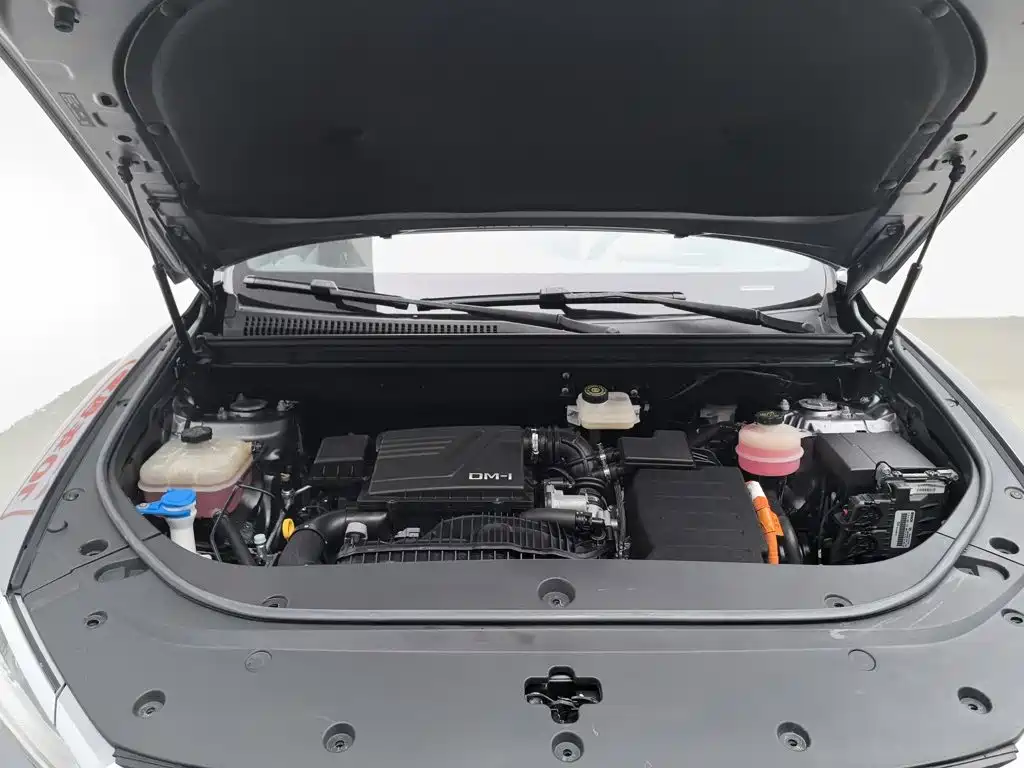 BYD Song Pro New Energy 2022 — фото 6