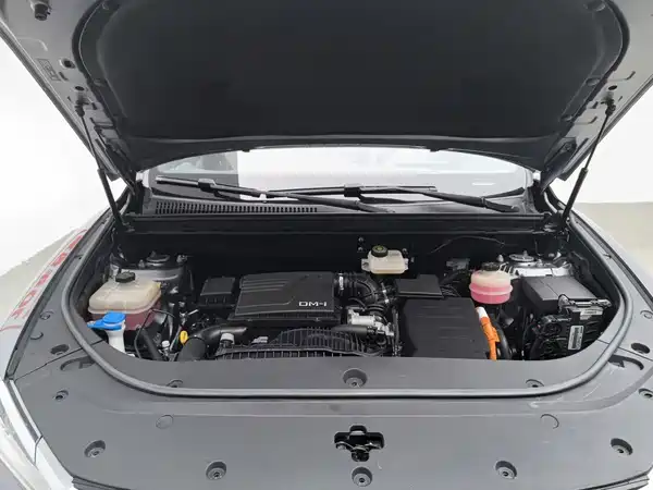 BYD Song Pro New Energy 2022