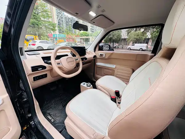 Geely Galaxy Panda 2024