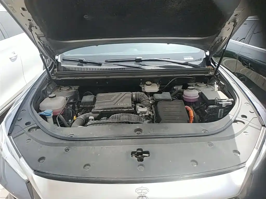 BYD Pro New Energy 2024 — фото 20