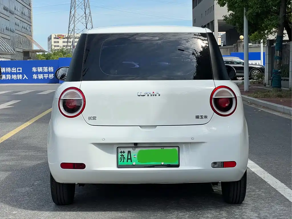 Qiyuan Lumin 2025