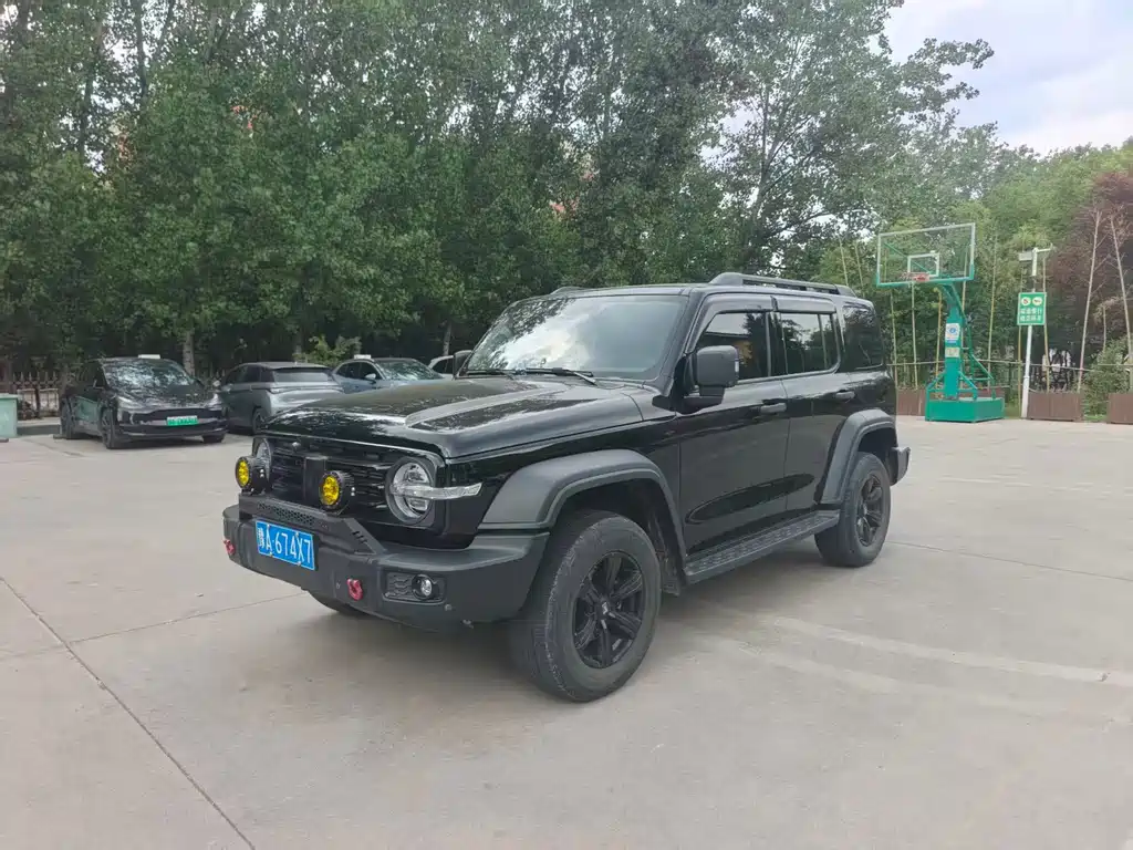 Tank 300 2024