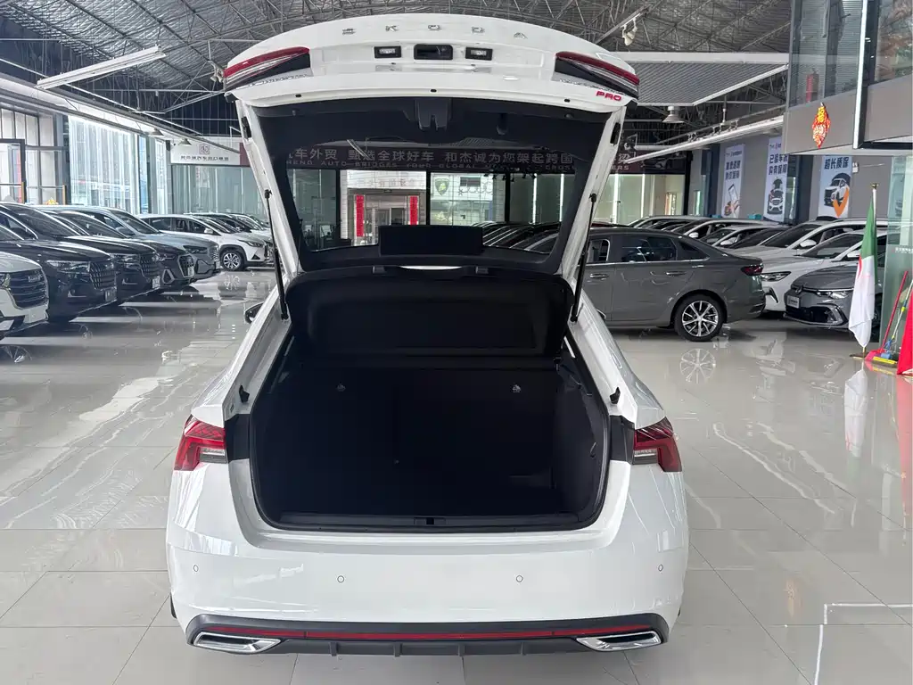 Skoda Octavia 2023 — фото 12