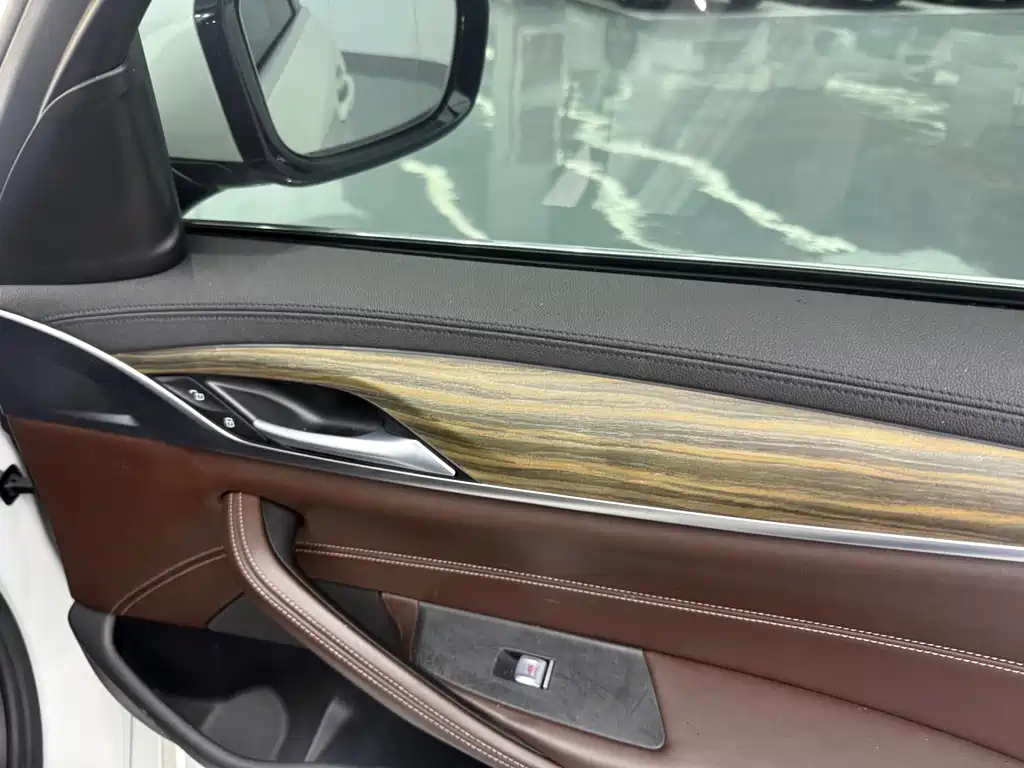 BMW 5 Series New Energy 2019