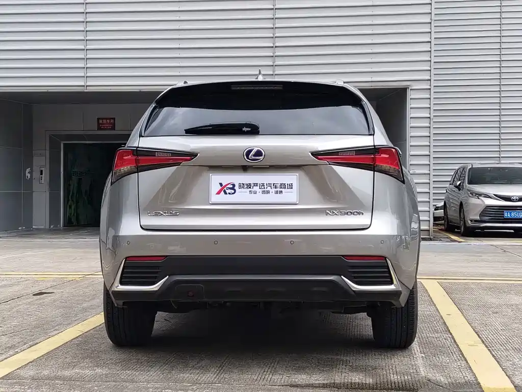 Lexus NX 2020 — фото 13