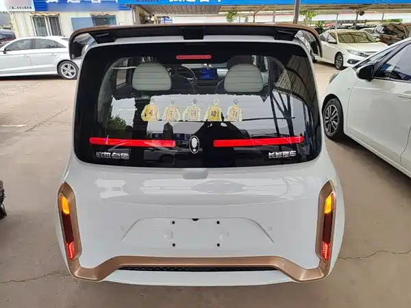 Ora White Cat 2022
