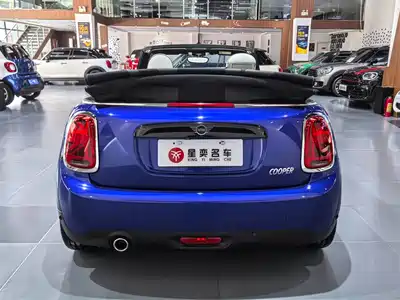 MINI MINI 2019